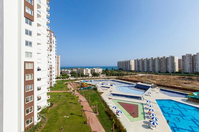 Liparis Suncity — عکس 8