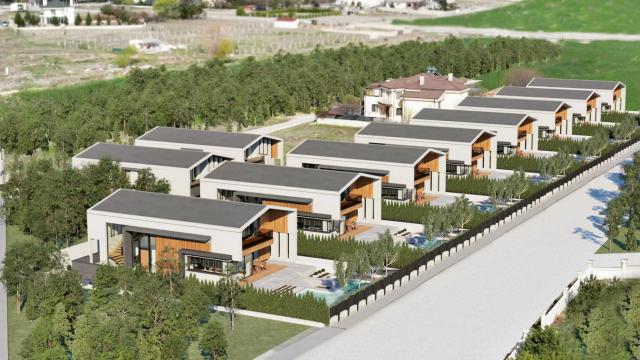 Novus Yaşam — photo 2