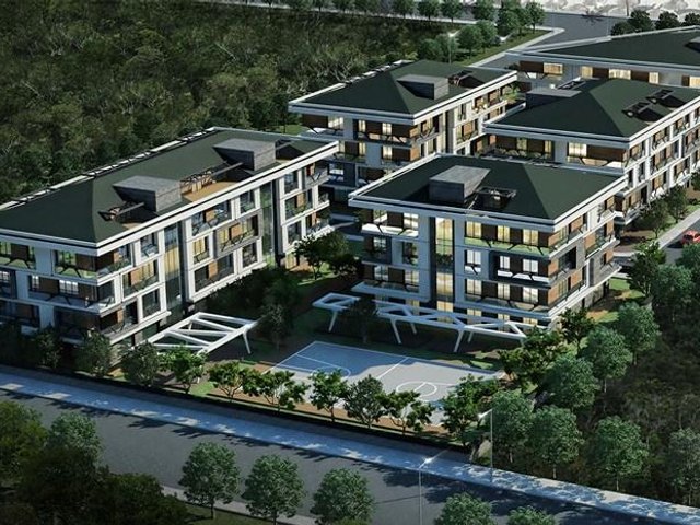 Beyttürk Orman — fotoğraf 5
