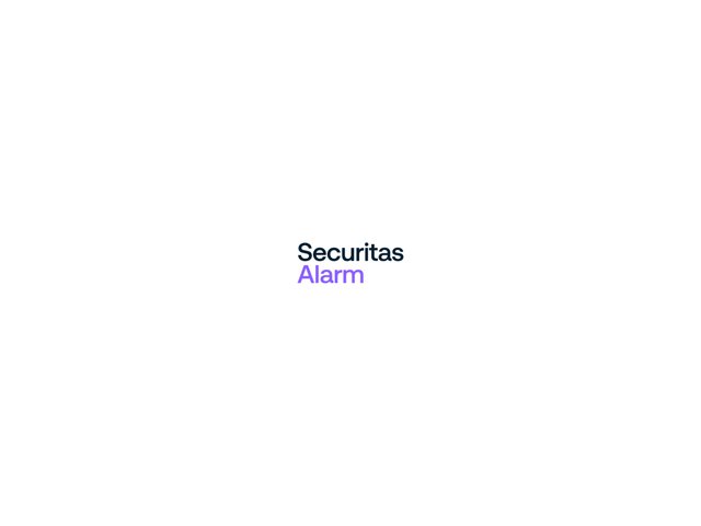 Securitas — photo 2
