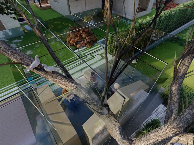 Tetra İncek — photo 4
