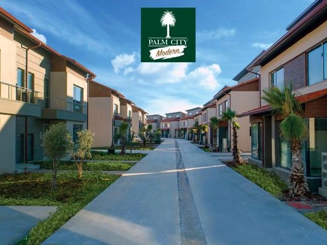 Palm City Modern — photo 4