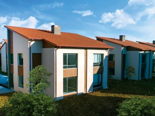Palm City Modern — photo 5