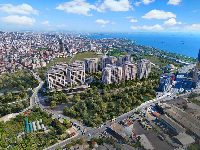 Kuzey Adalar Kartal — عکس 6