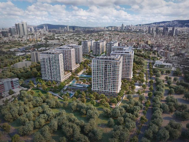 Kuzey Adalar Kartal — fotoğraf 5
