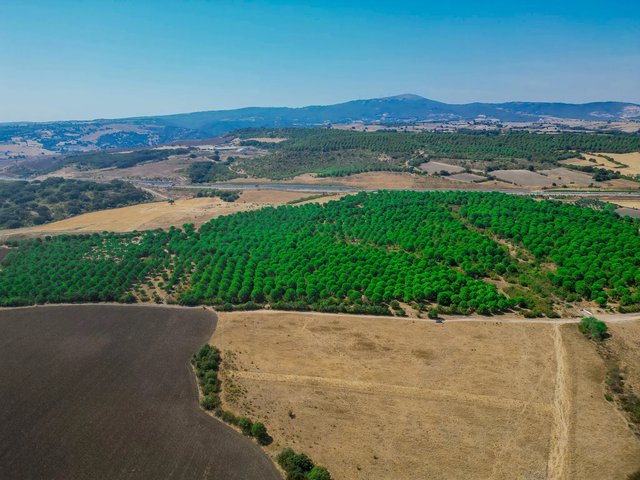 Prestij Balıklıdere — photo 3