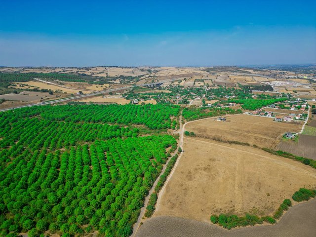 Prestij Balıklıdere — photo 4