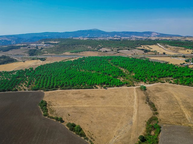 Prestij Balıklıdere — photo 2